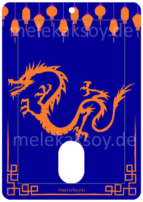 Stray Kids Five Star Photocard Holder Design Back